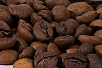 Coffee lovers